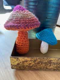 Champignons au crochet